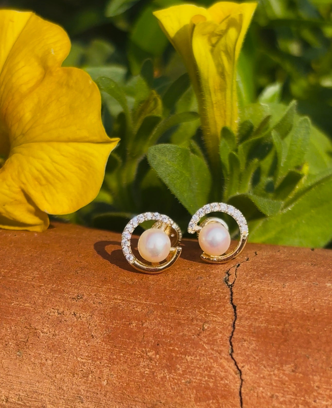 Earrrings